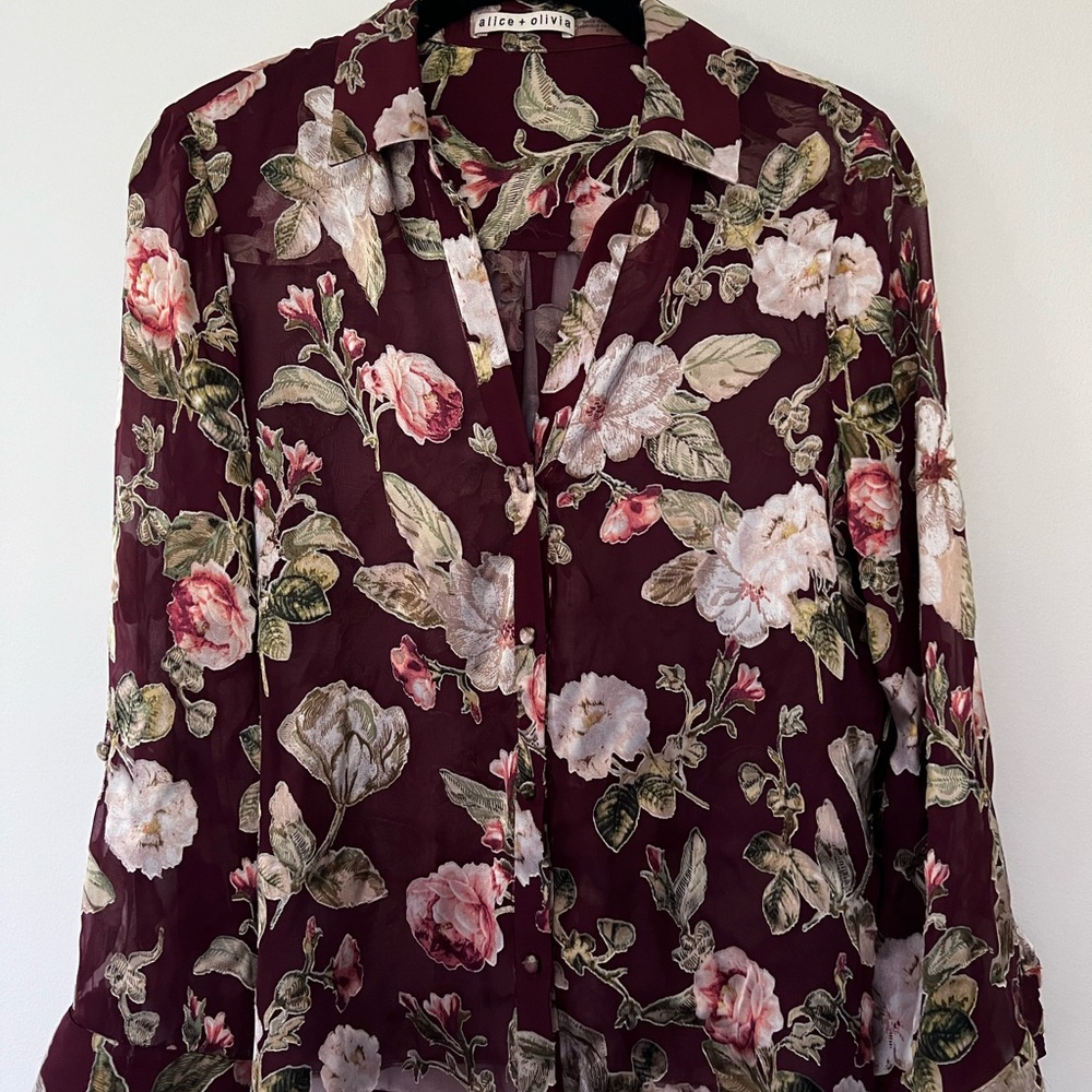Alice + Olivia sheer blouse.  Size XS. Great condition